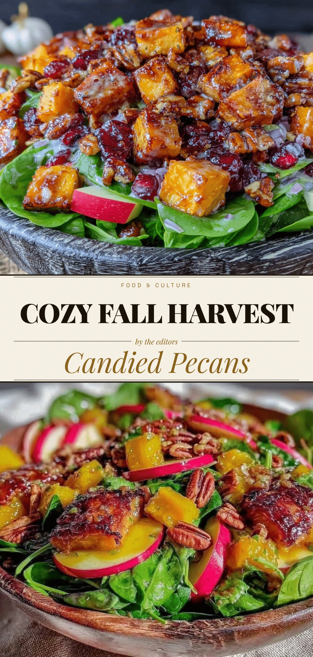 Budget-Friendly Fall Harvest Salad with Candied Pecans 5 Budget-Friendly Fall Harvest Salad with Candied Pecans recipe